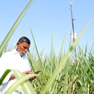 Maharashtra Agripilot AI