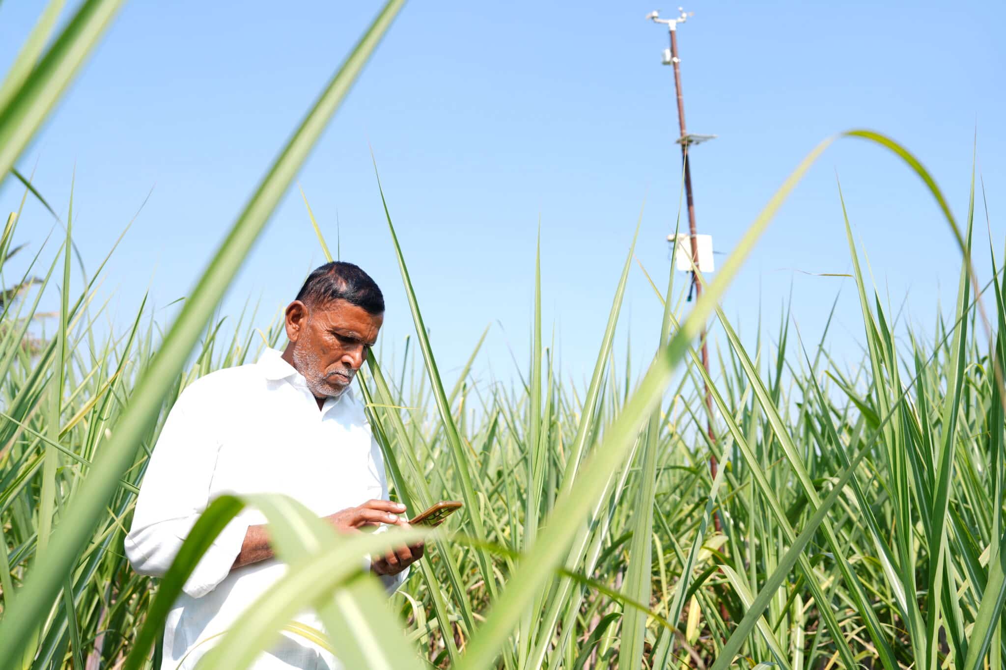 Maharashtra Agripilot AI