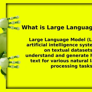 What is Large Language Model